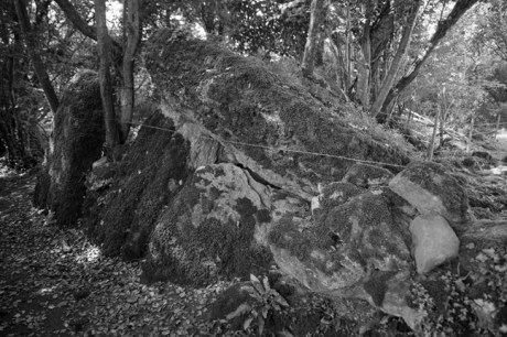 Meehambee Portal Tomb, Roscommon, Ireland, 2021