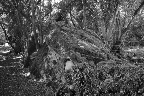 Meehambee Portal Tomb, Roscommon, Ireland, 2021