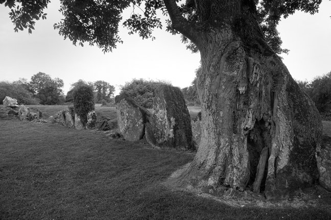 Grange Stone Circle, Limerick, Ireland, 2021