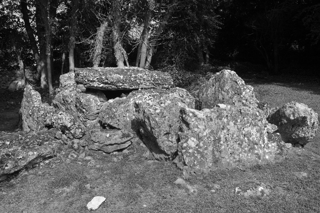 Lough Gur Wedge Tomb, Limerick, Ireland, 2021