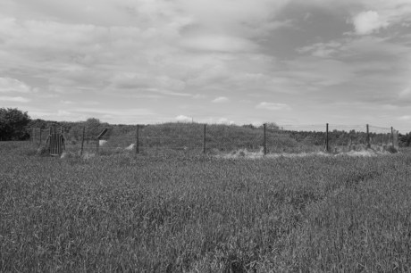 Townley Hall Passage Tomb, Louth, Ireland, 2021