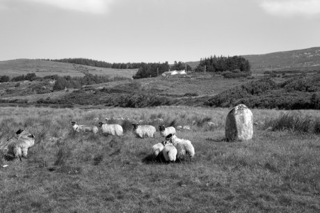 Letterdeen Standing Stone, Galway, Ireland, 2021