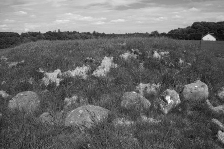 Townley Hall Passage Tomb, Louth, Ireland, 2021