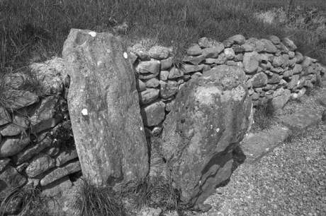 Townley Hall Passage Tomb, Louth, Ireland, 2021