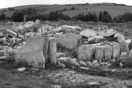 Ballyedmonduff Gallery Tomb, Dublin, Ireland, 2021