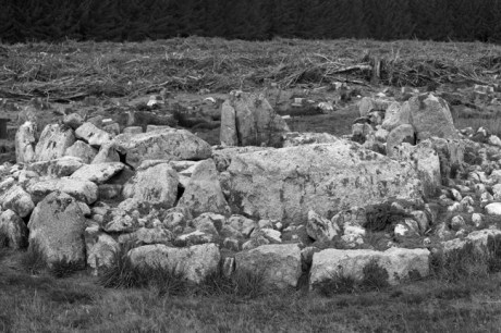 Ballyedmonduff Gallery Tomb, Dublin, Ireland, 2021