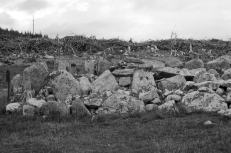 Ballyedmonduff Gallery Tomb, Dublin, Ireland, 2021