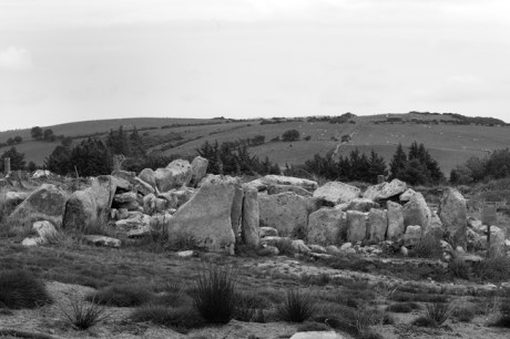 Ballyedmonduff Gallery Tomb, Dublin, Ireland, 2021
