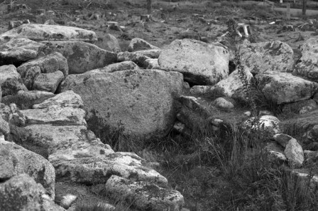 Ballyedmonduff Gallery Tomb, Dublin, Ireland, 2021