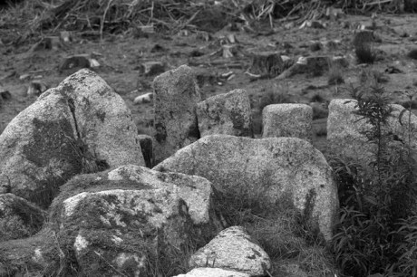 Ballyedmonduff Gallery Tomb, Dublin, Ireland, 2021