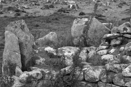 Ballyedmonduff Gallery Tomb, Dublin, Ireland, 2021