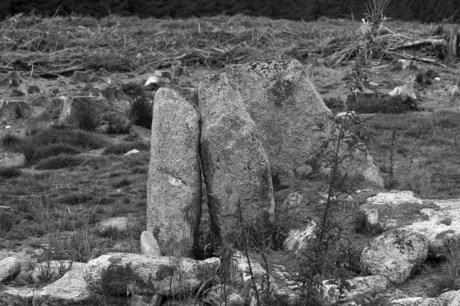 Ballyedmonduff Gallery Tomb, Dublin, Ireland, 2021