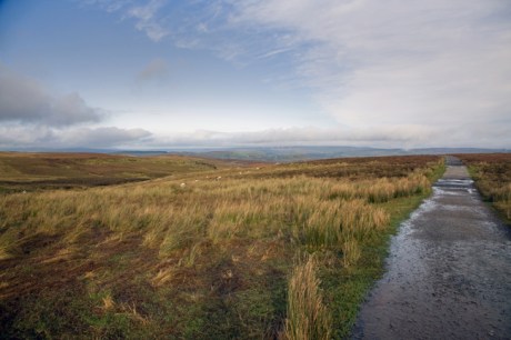 Cuilcagh Boardwalk Trail, Fermanagh, Ireland, 2021