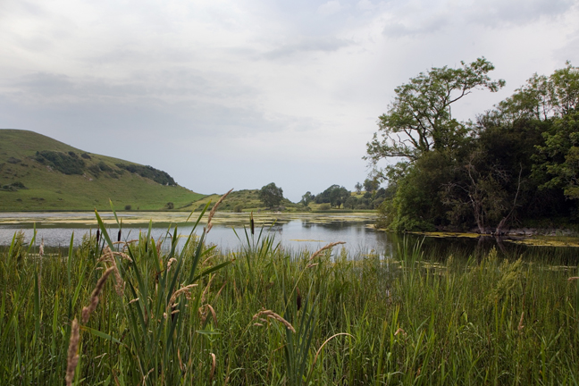 Lough Gur, Limerick, Ireland, 2021