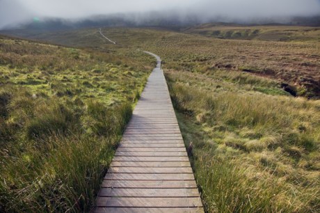 Cuilcagh Boardwalk Trail, Fermanagh, Ireland, 2021