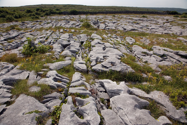 The Burren, Clare, Ireland, 2021