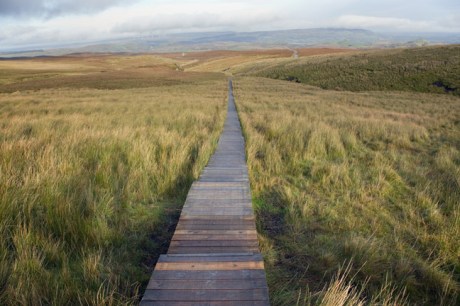 Cuilcagh Boardwalk Trail, Fermanagh, Ireland, 2021