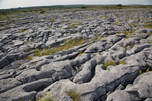 The Burren, Clare, Ireland, 2021