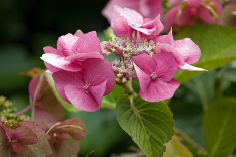 St Mary's, Dublin, Ireland, 2021