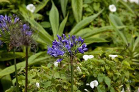 St Mary's, Dublin, Ireland, 2021