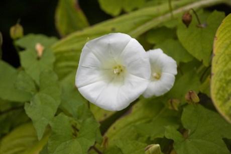 St Mary's, Dublin, Ireland, 2021