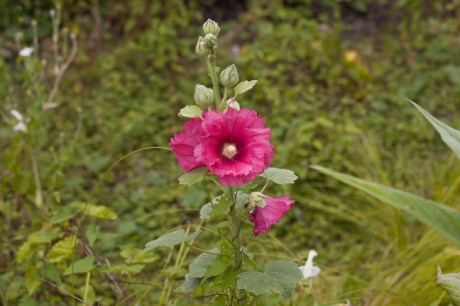 St Mary's, Dublin, Ireland, 2021