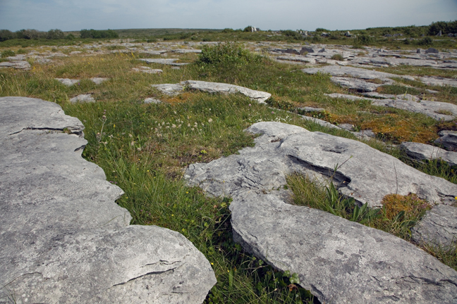 The Burren, Clare, Ireland, 2021