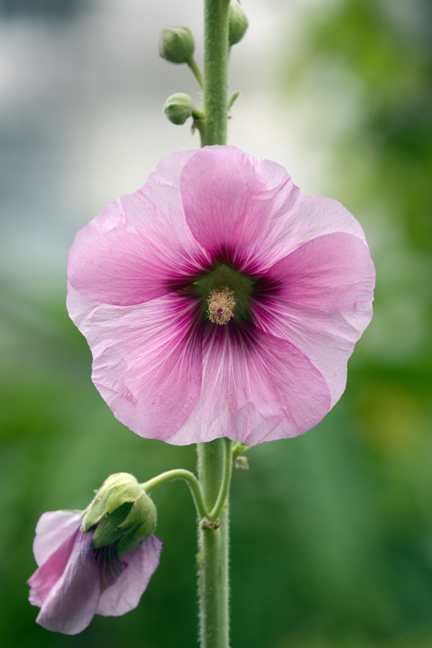 St Mary's, Dublin, Ireland, 2021