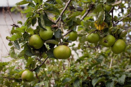 St Mary's, Dublin, Ireland, 2021