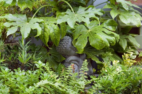 Clyde Road, Dublin, Ireland, 2021