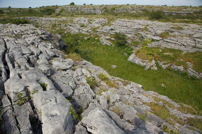 The Burren, Clare, Ireland, 2021