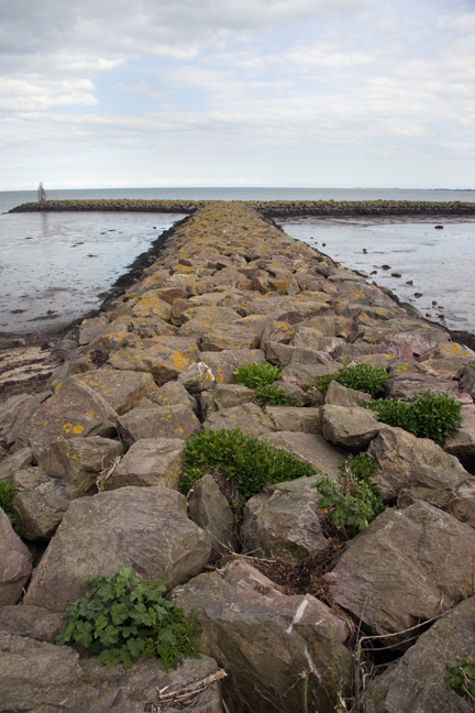 Ferrybank, Wexford, Ireland, 2021