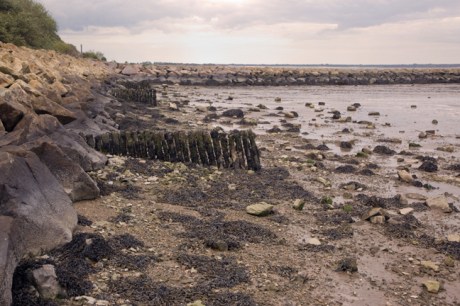 Ferrybank, Wexford, Ireland, 2021