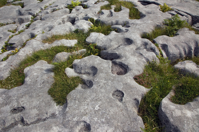 The Burren, Clare, Ireland, 2021