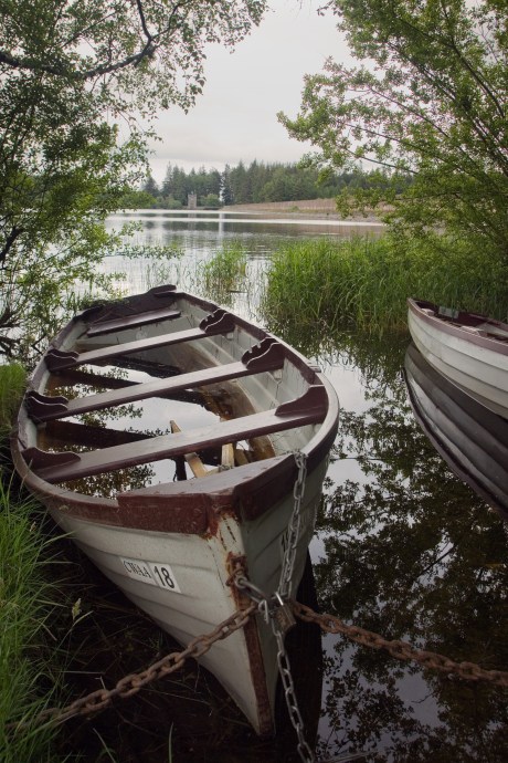 Vartry Reservoir, Wicklow, Ireland, 2021