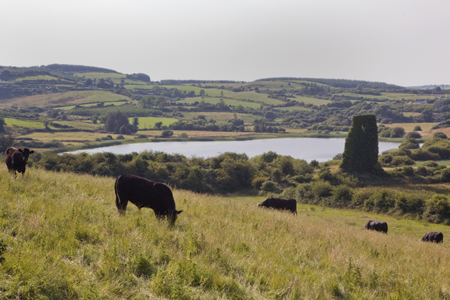 Rath, Clare, Ireland, 2021