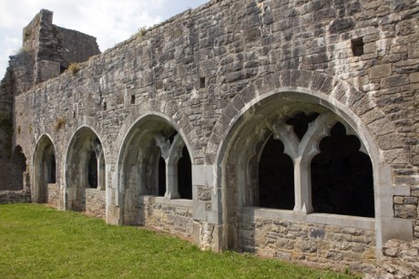 Dominican Priory, Kilmallock, Limerick, Ireland, 2021