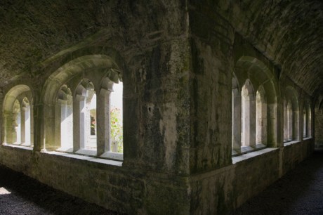 Augustinian Friary, Adare, Limerick, Ireland, 2021