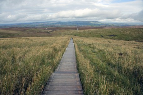 Cuilcagh Boardwalk Trail, Fermanagh, Ireland, 2021