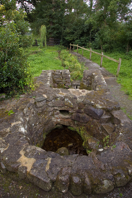 Tobar Iosa, Cahir, Tipperary, Ireland, 2021