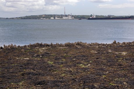 Spike Island, Cork, Ireland, 2021