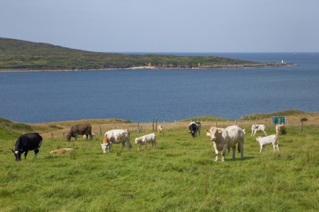 Clifden, Galway, Ireland, 2021