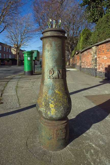 Leeson Park, Dublin, Ireland, 2021