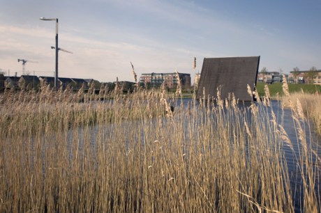 Father Collins Park, Dublin, Ireland, 2021