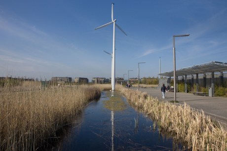 Father Collins Park, Dublin, Ireland, 2021