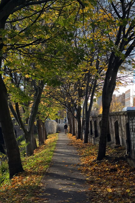The Grand Canal, Dublin, Ireland, November 2021