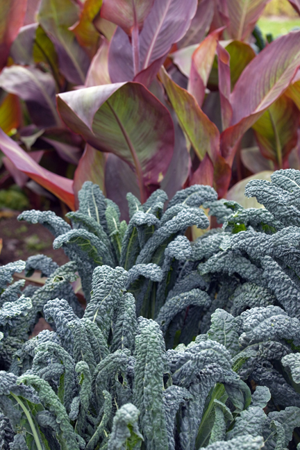 Botanical Gardens, Dublin, Ireland, 2021