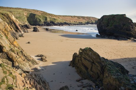 Goat Island, Waterford, Ireland, February 2022