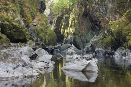 Ffos Anoddun, Betws-y-Coed, Conwy, Wales, 2022