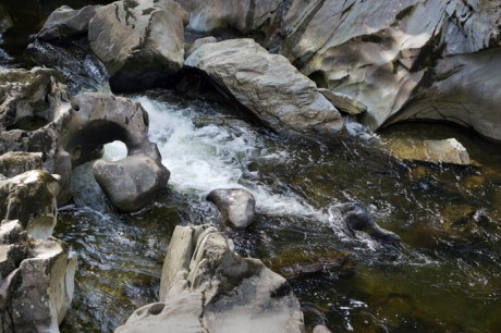 Ffos Anoddun, Betws-y-Coed, Conwy, Wales, 2022